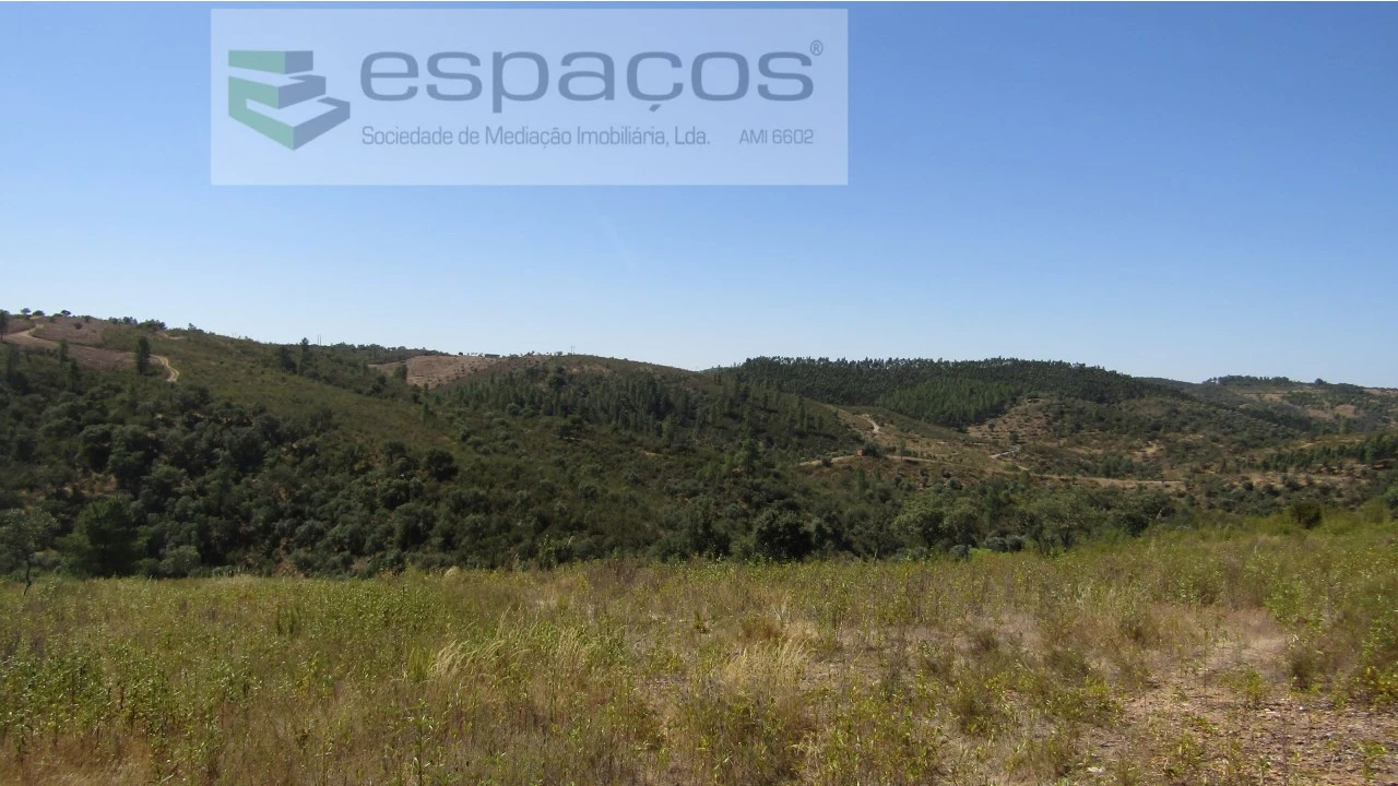 Terreno Agricola ou Rústico para Venda em Perais Foto 24