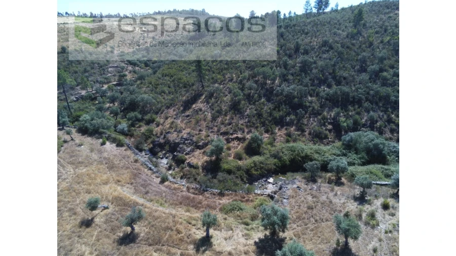 Terreno Agricola ou Rústico para Venda em Perais Foto 9