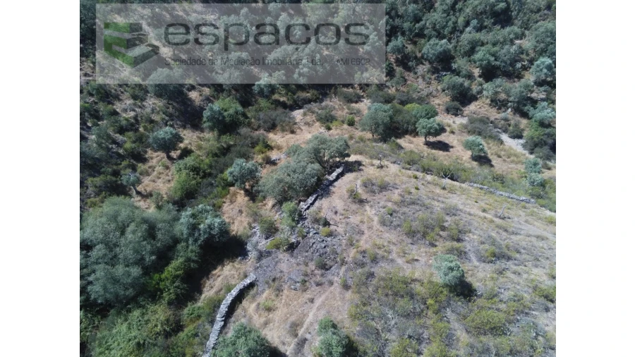 Terreno Agricola ou Rústico para Venda em Perais Foto 2