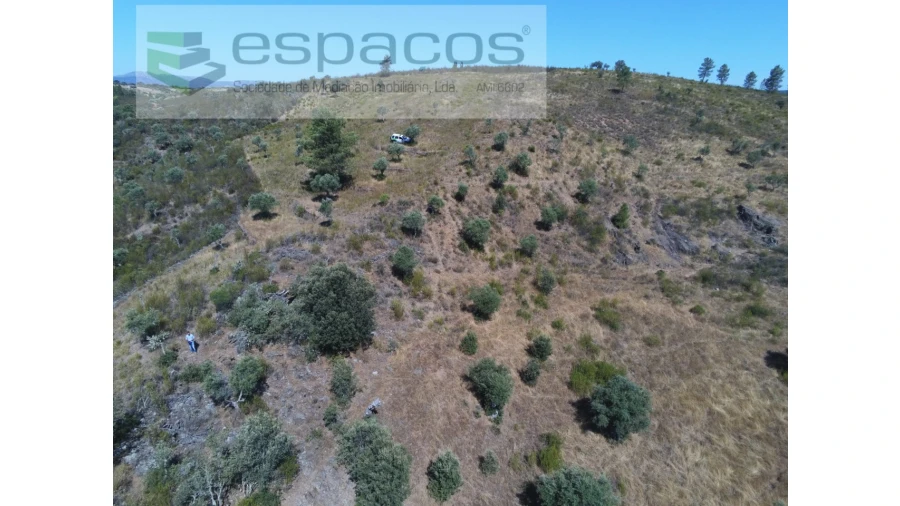 Terreno Agricola ou Rústico para Venda em Perais Foto 12