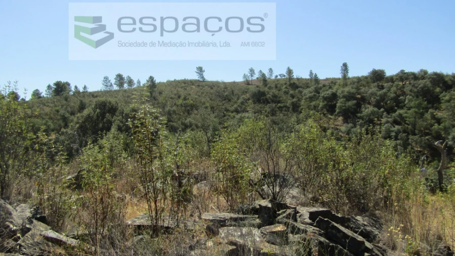 Terreno Agricola ou Rústico para Venda em Perais Foto 16