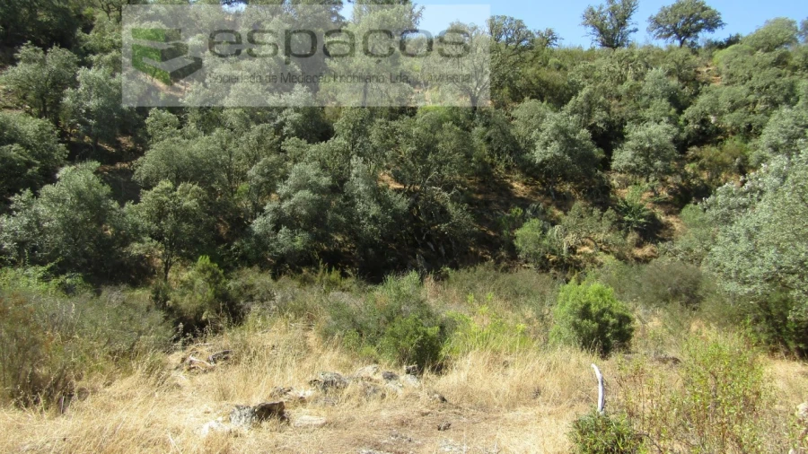 Terreno Agricola ou Rústico para Venda em Perais Foto 18