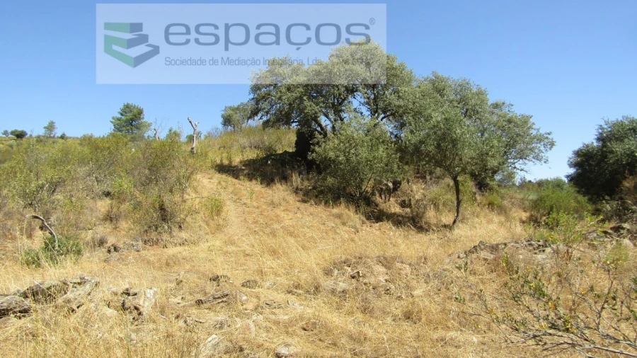 Terreno Agricola ou Rústico para Venda em Perais Foto 21