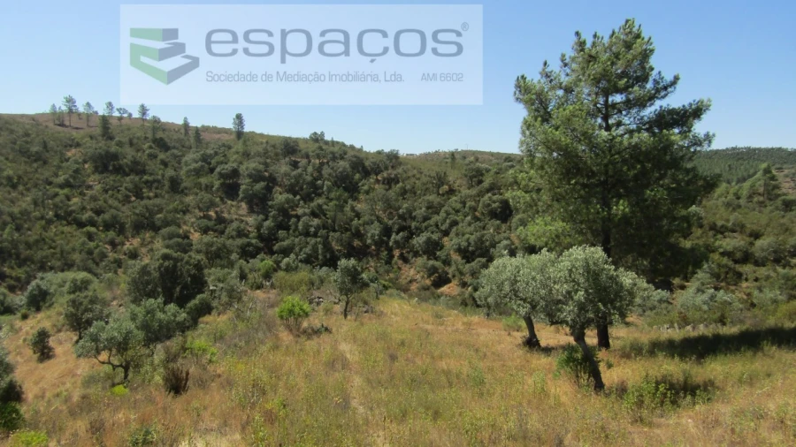 Terreno Agricola ou Rústico para Venda em Perais Foto 22
