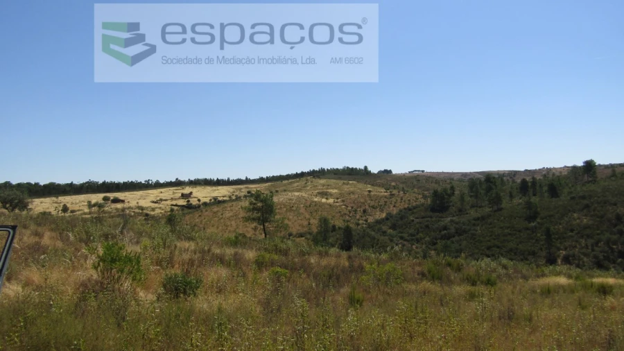 Terreno Agricola ou Rústico para Venda em Perais Foto 4