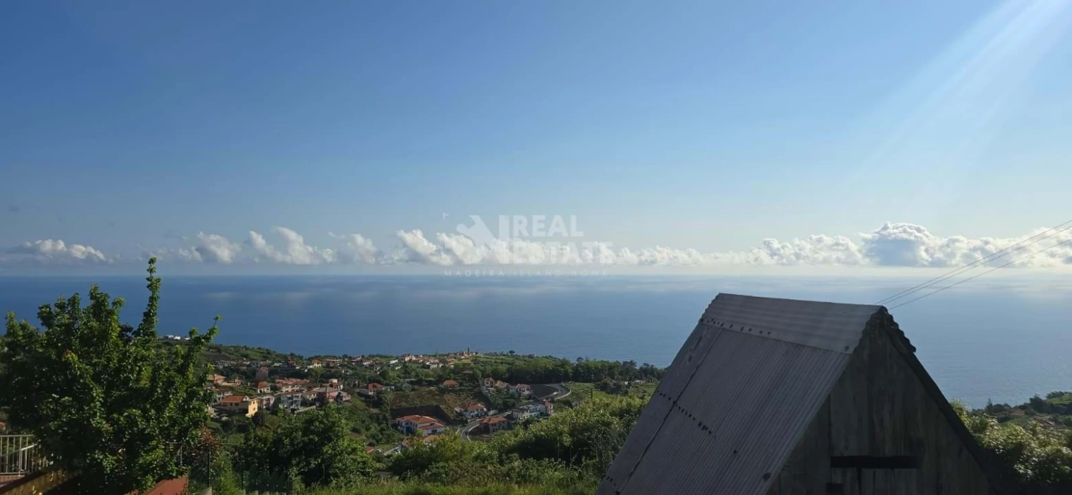 Terreno para Venda em São Jorge Foto 1