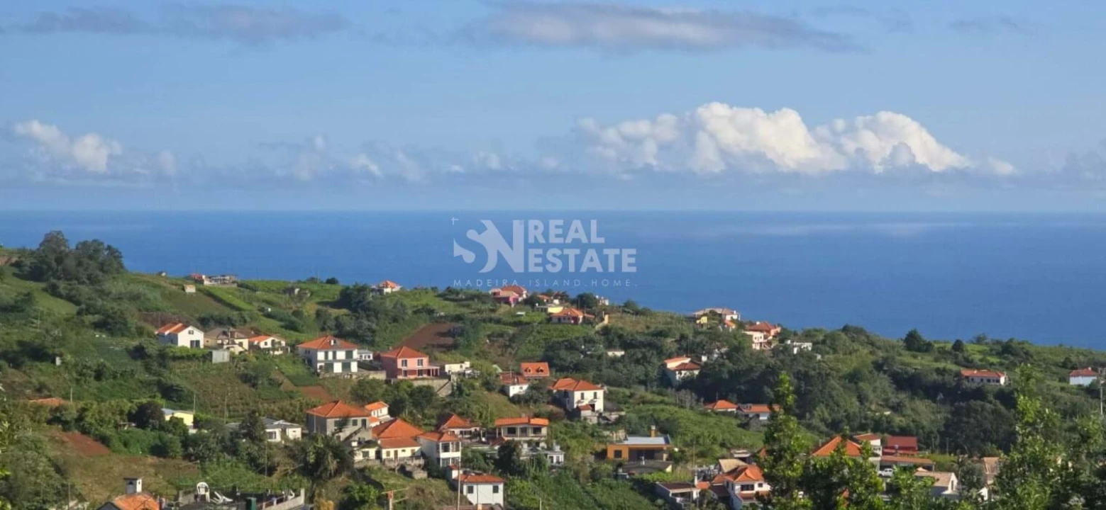 Terreno para Venda em São Jorge Foto 5
