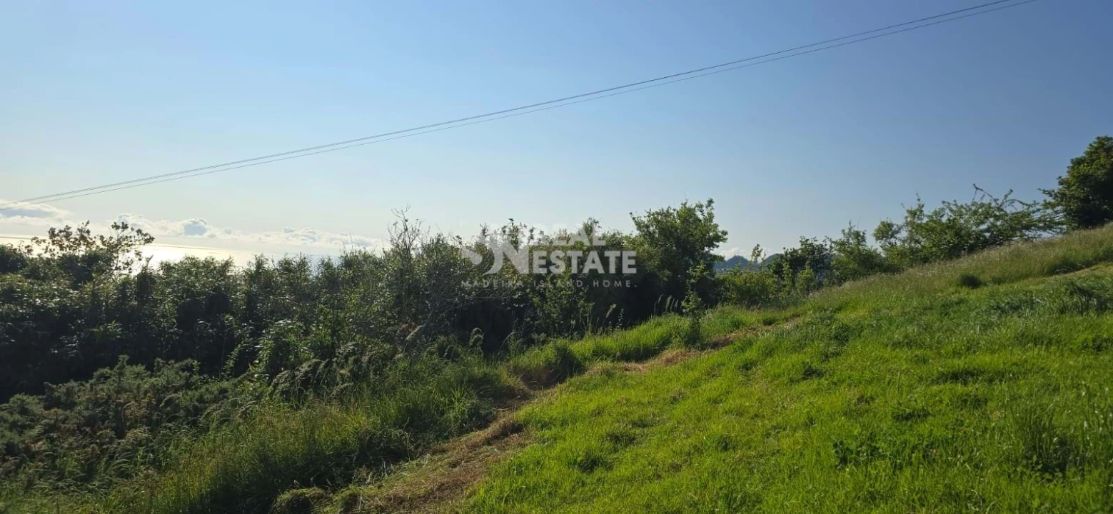Terreno para Venda em São Jorge Foto 14