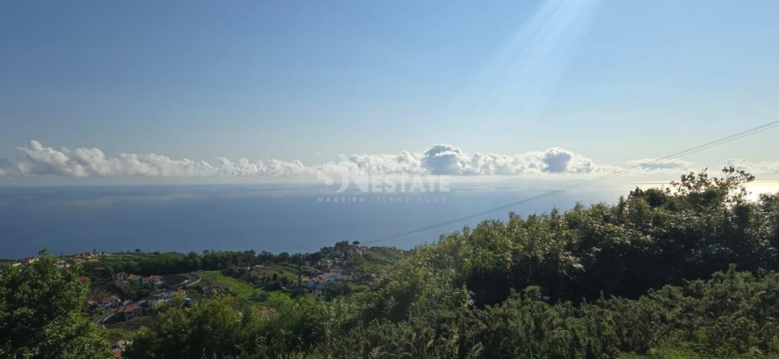 Terreno para Venda em São Jorge Foto 9