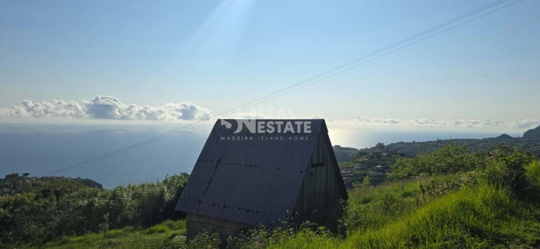 Terreno para Venda em São Jorge Foto 7