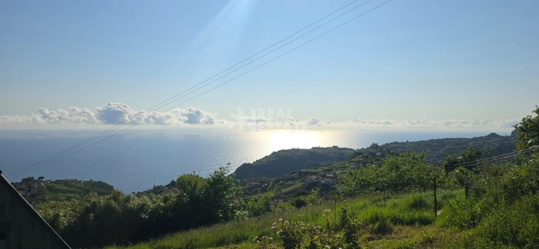 Terreno para Venda em São Jorge Foto 2