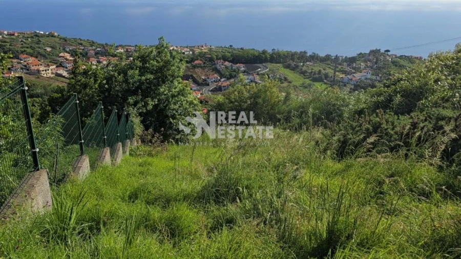 Terreno para Venda em São Jorge Foto 8