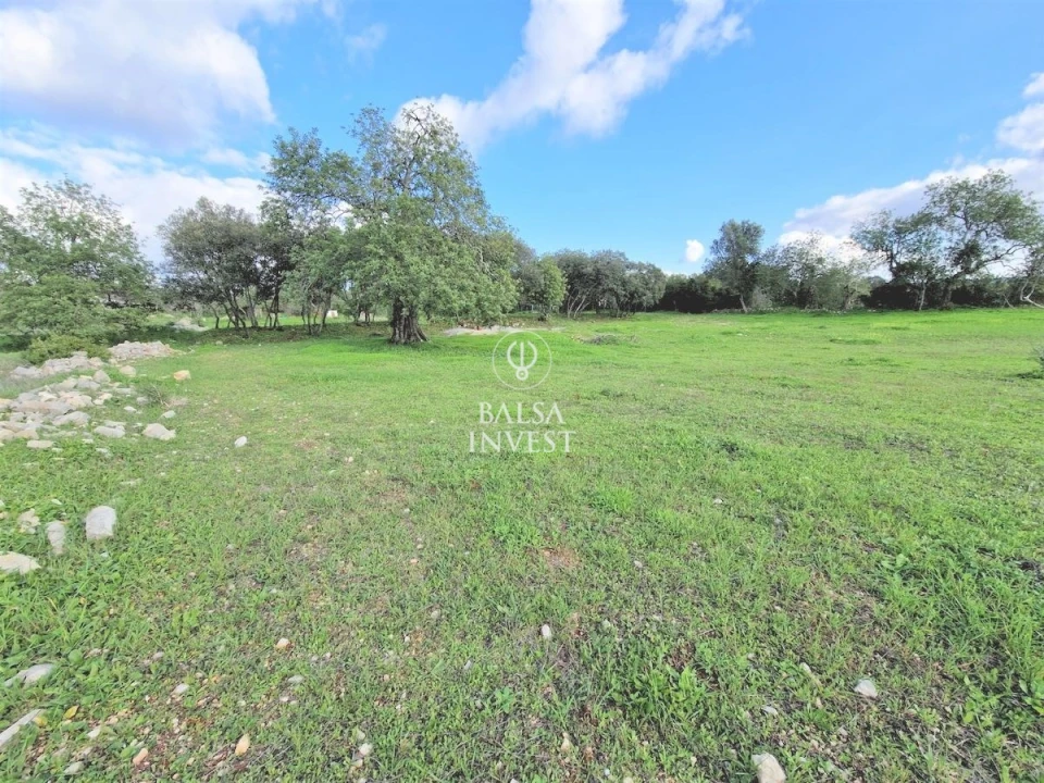 Terreno para Venda em Loule (São Clemente) Foto 7