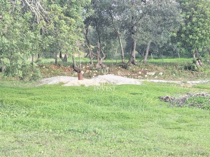 Terreno para Venda em Loule (São Clemente) Foto 3