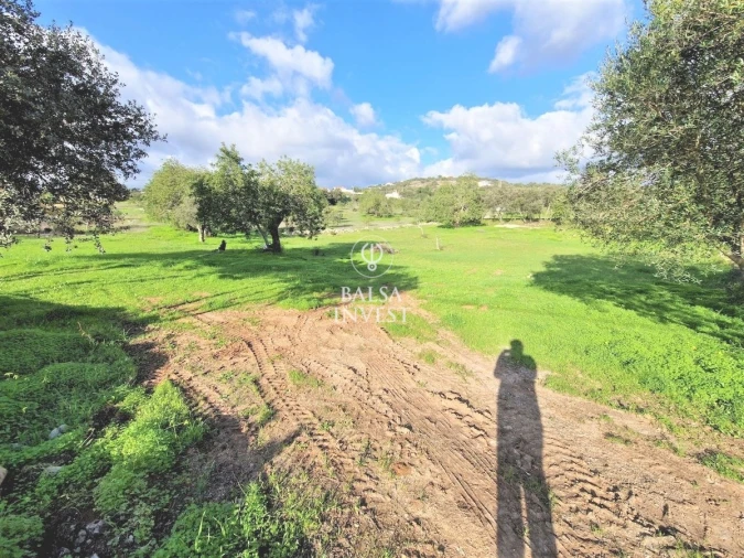 Terreno para Venda em Loule (São Clemente) Foto 6