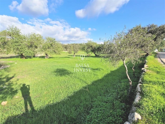 Terreno para Venda em Loule (São Clemente) Foto 9