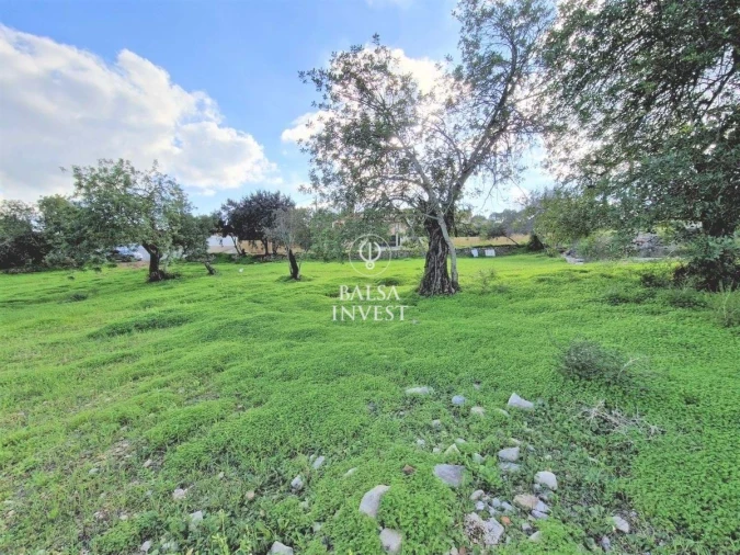 Terreno para Venda em Loule (São Clemente) Foto 5