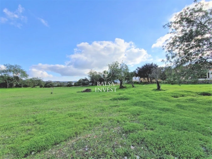 Terreno para Venda em Loule (São Clemente) Foto 8
