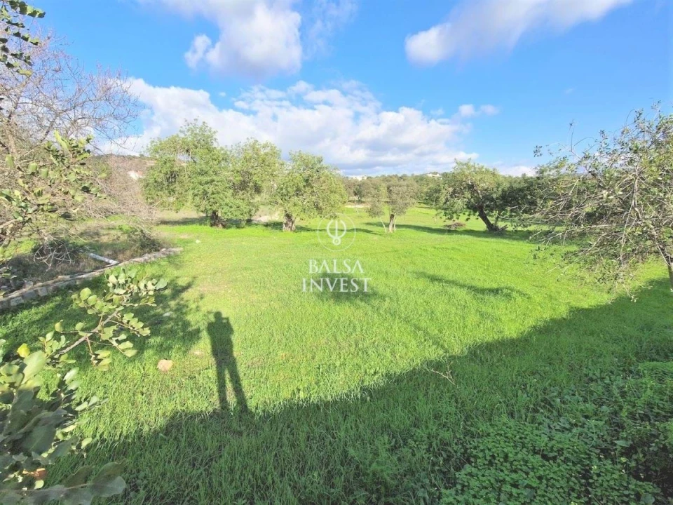 Terreno para Venda em Loule (São Clemente) Foto 1