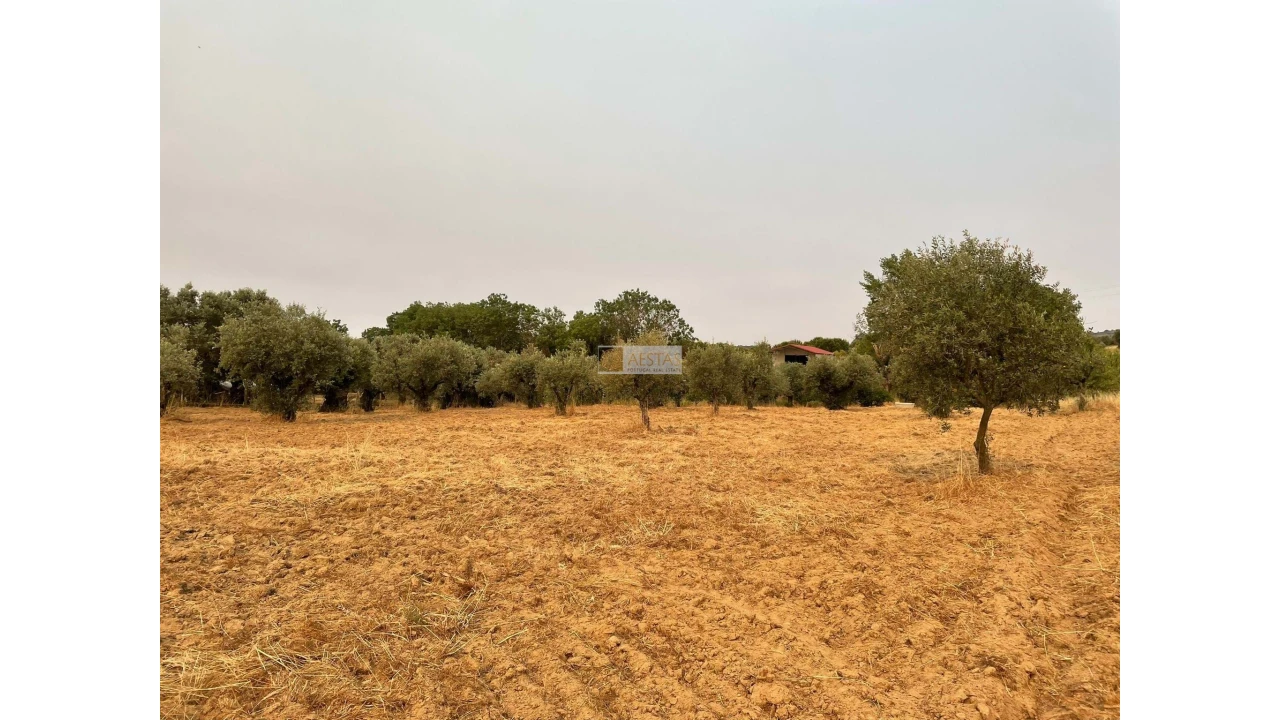 Terreno para Venda em Vidigueira Foto 25