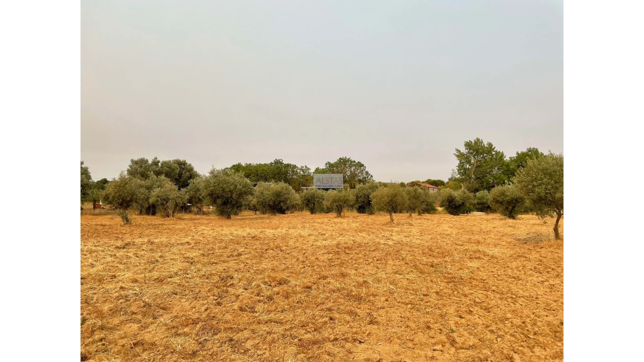 Terreno para Venda em Vidigueira Foto 2