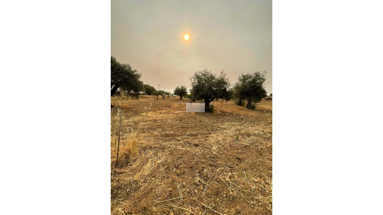 Terreno para Venda em Vidigueira Foto 18