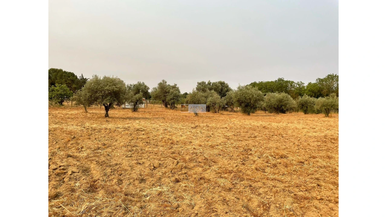 Terreno para Venda em Vidigueira Foto 1