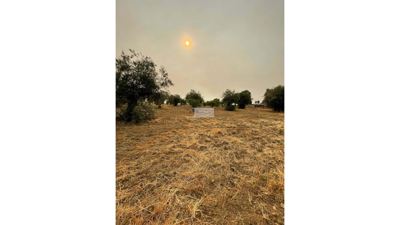 Terreno para Venda em Vidigueira Foto 14