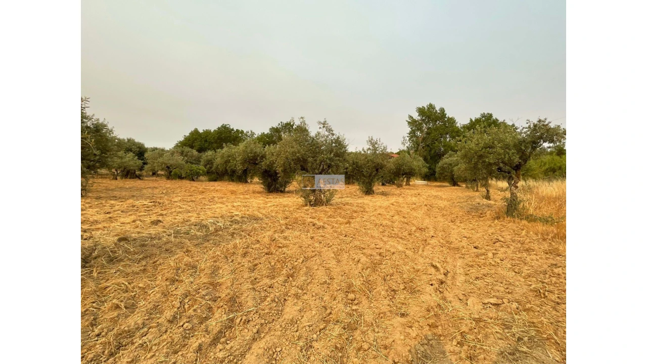 Terreno para Venda em Vidigueira Foto 29