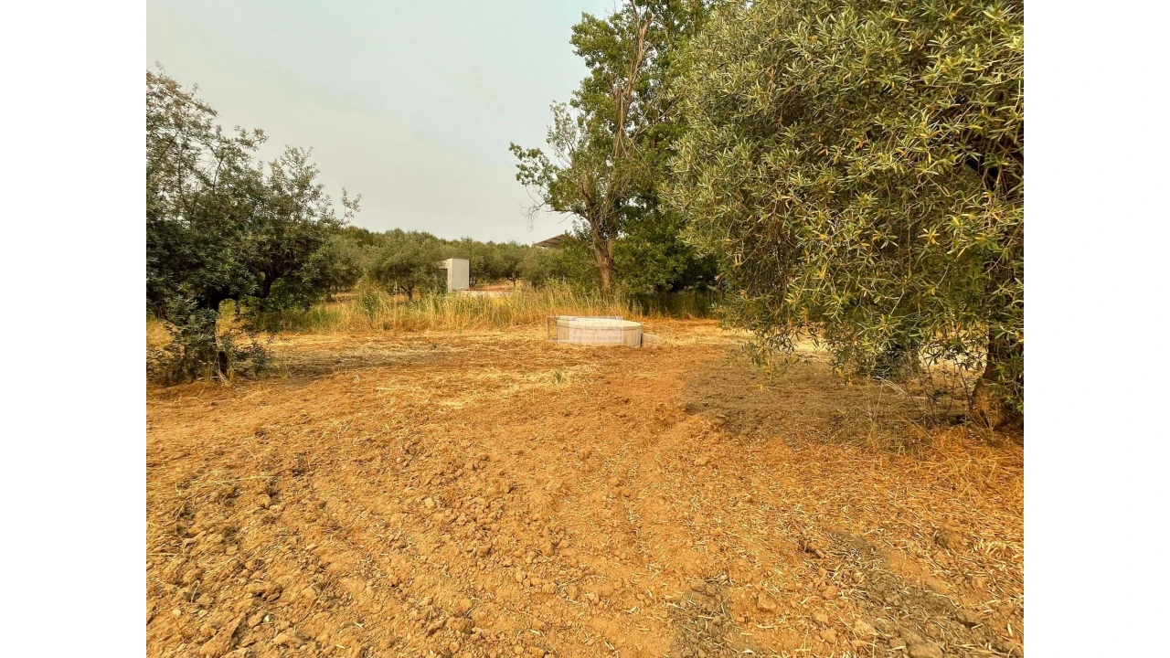 Terreno para Venda em Vidigueira Foto 30