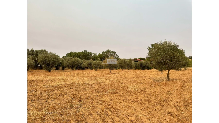 Terreno para Venda em Vidigueira Foto 25