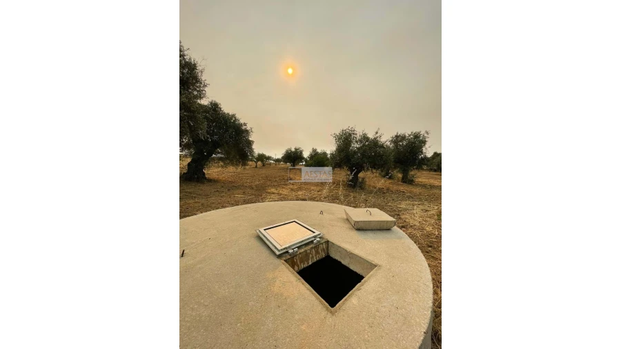 Terreno para Venda em Vidigueira Foto 23