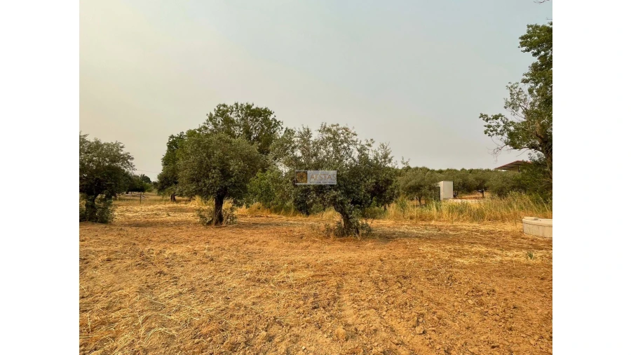 Terreno para Venda em Vidigueira Foto 31