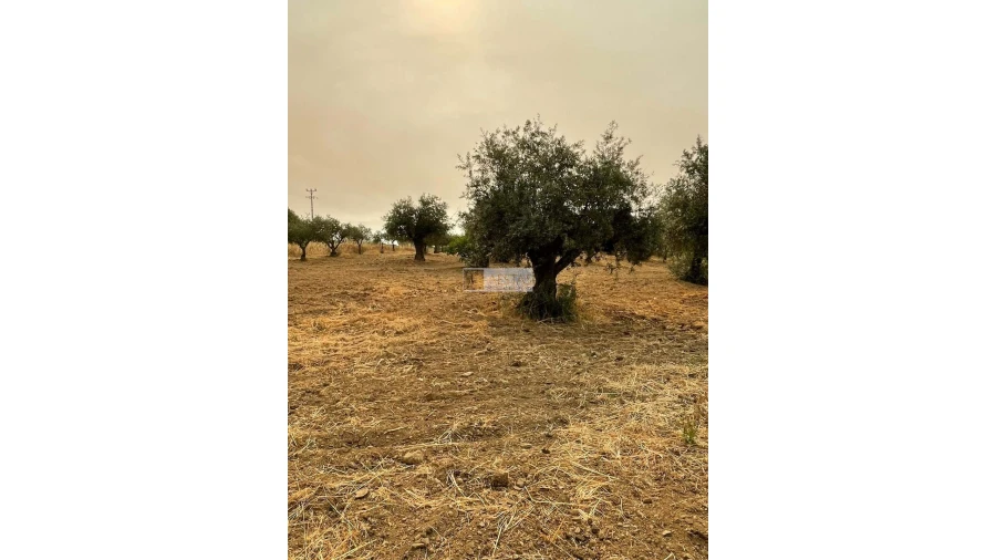 Terreno para Venda em Vidigueira Foto 22