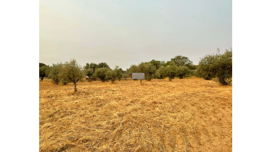 Terreno para Venda em Vidigueira Foto 26