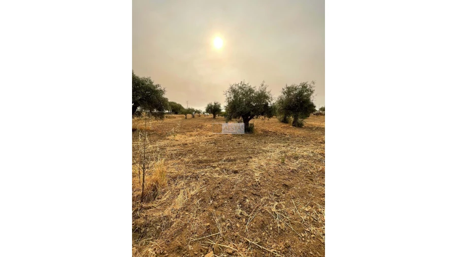 Terreno para Venda em Vidigueira Foto 20