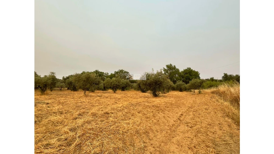 Terreno para Venda em Vidigueira Foto 27