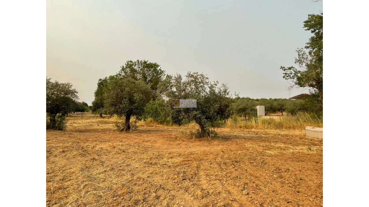 Terreno para Venda em Vidigueira Foto 31