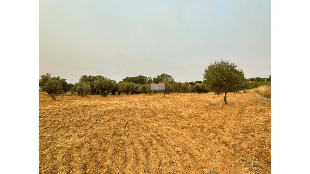 Terreno para Venda em Vidigueira Foto 24