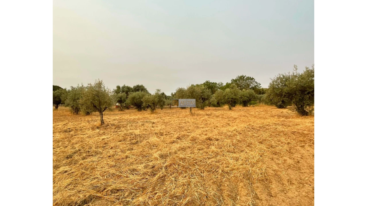 Terreno para Venda em Vidigueira Foto 26