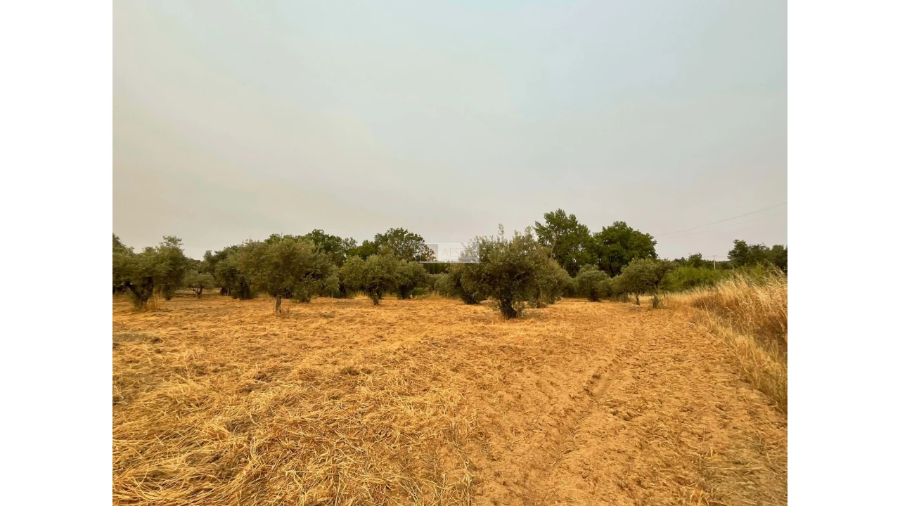 Terreno para Venda em Vidigueira Foto 27