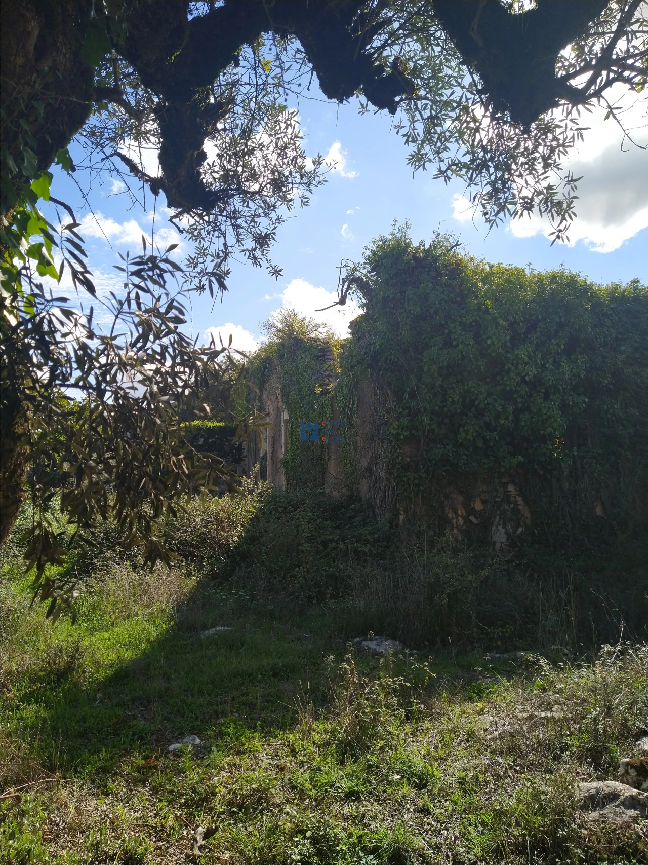 Terreno para Venda em Fatima Foto 9