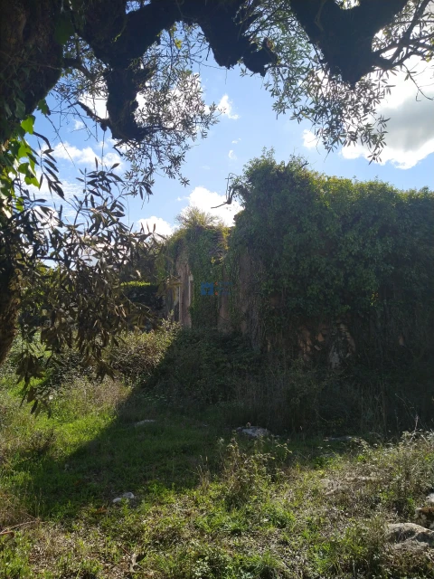 Terreno para Venda em Fatima