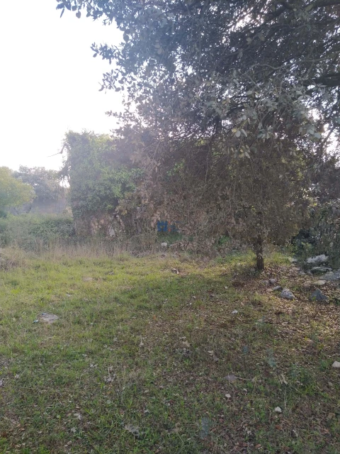 Terreno para Venda em Fatima
