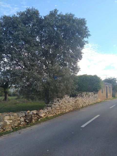 Terreno para Venda em Fatima