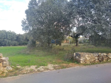 Terreno para Venda em Fatima