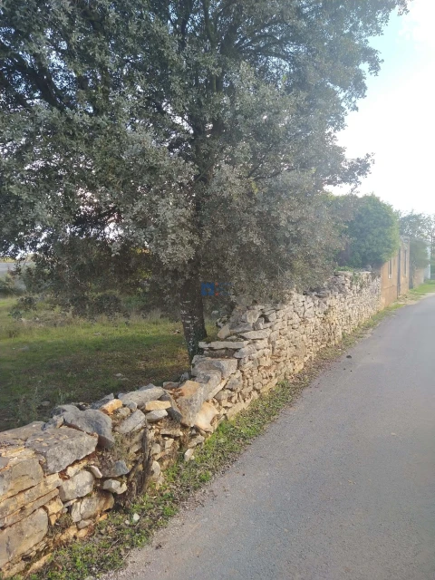 Terreno para Venda em Fatima