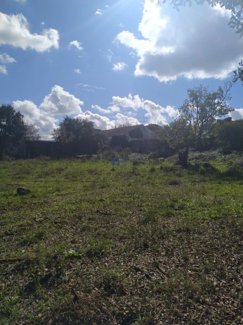 Terreno para Venda em Fatima