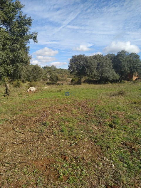 Terreno para Venda em Fatima