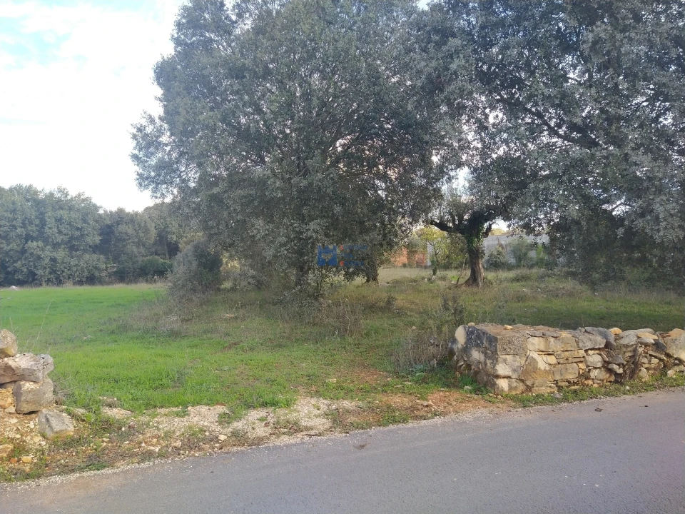 Terreno para Venda em Fatima Foto 1